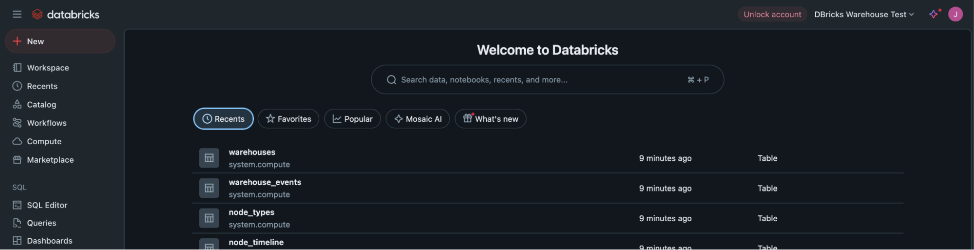 Databricks profile settings