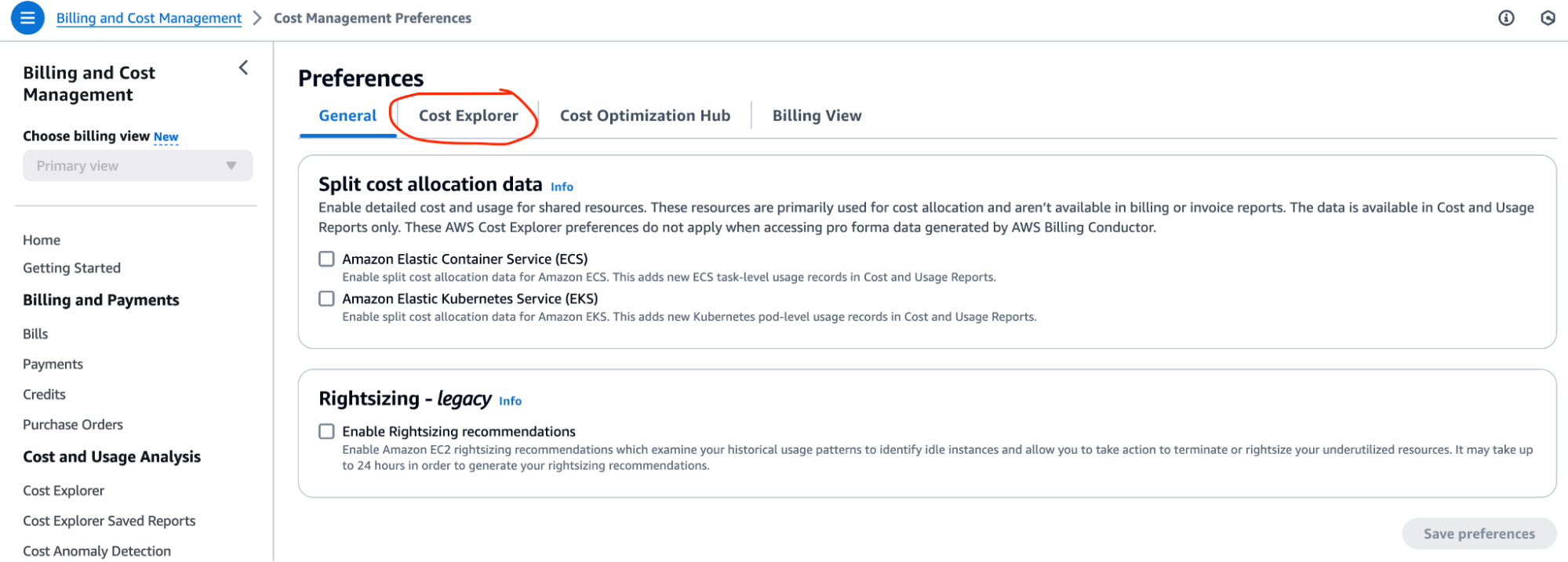 Cost Explorer tab